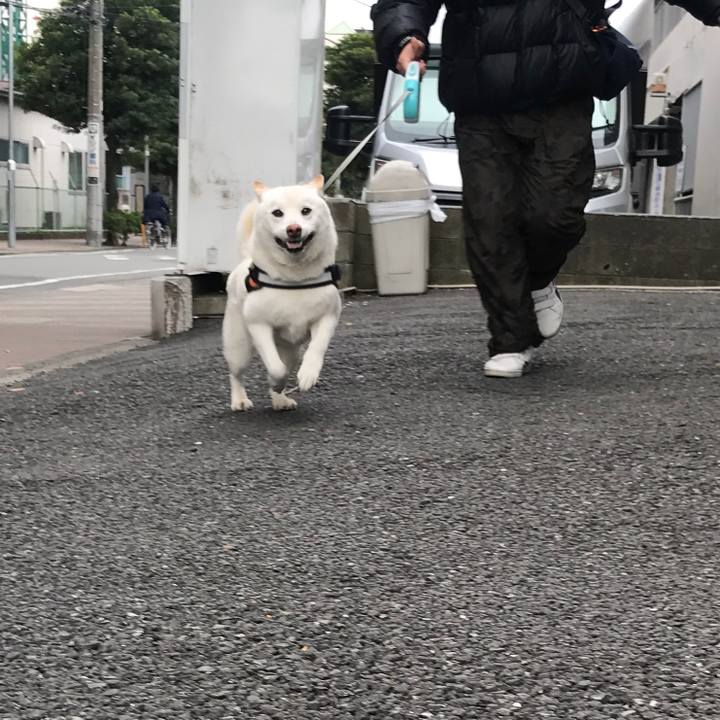 7c769174 31de 43aa bde4 c853bce18b31 1585266096858