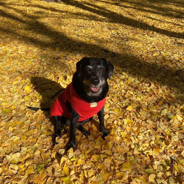 7c76cb7a c2db 4079 adf7 7b980555129d 1671071056888