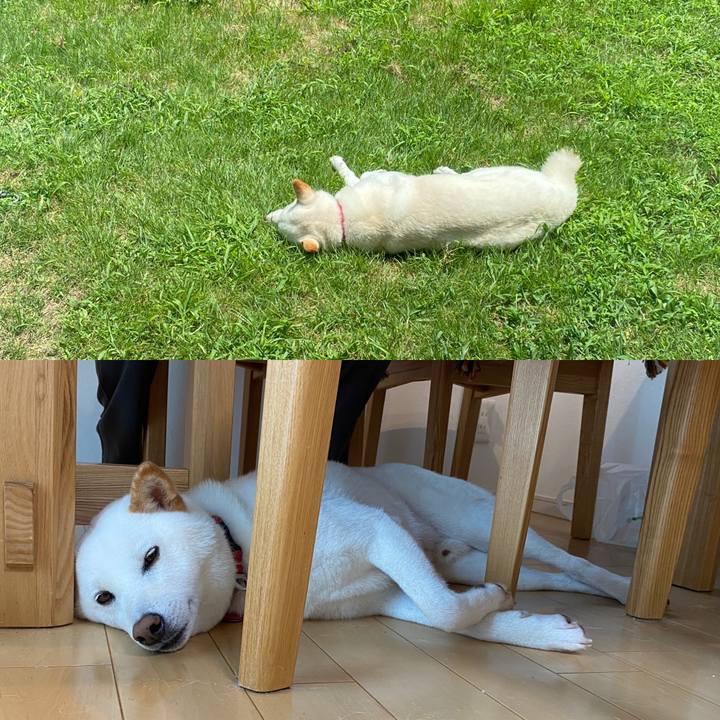 7c76d458 934d 497f a282 fead98d1819d 1626752270519