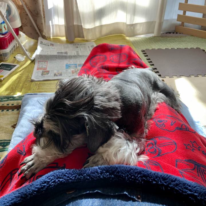 7c76e386 7711 418a a15e cfcb84597263 1677993974927