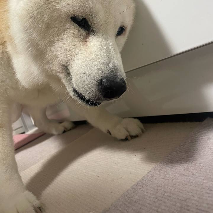 7c76ef78 89de 4af8 9b3e d248f9594121 1760999493204