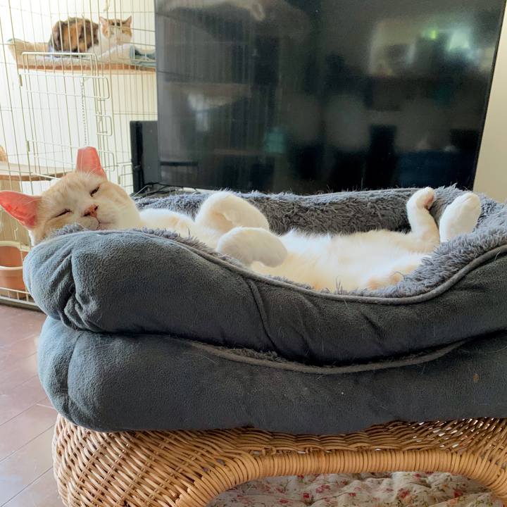 7c77083c 4aa1 4edc a3e5 32465ff57ee1 1621671782242