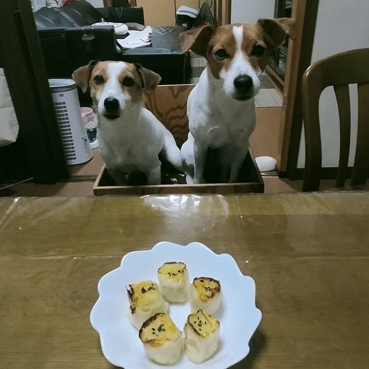 7c772139 6a4d 45cf 86f8 5f83fe766b68 1763714892016