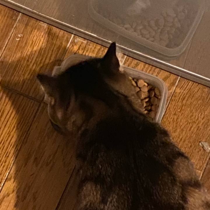 7c77442d 176a 4f47 b8bc d1299935b174 1610924786356