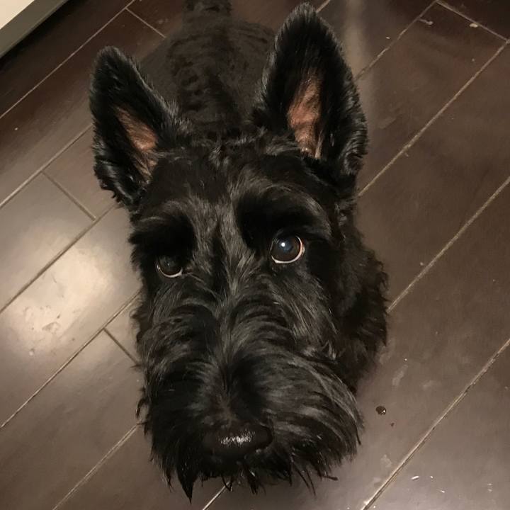 7c776a33 d970 4129 95b6 5c1e0f20744c 1534818043870