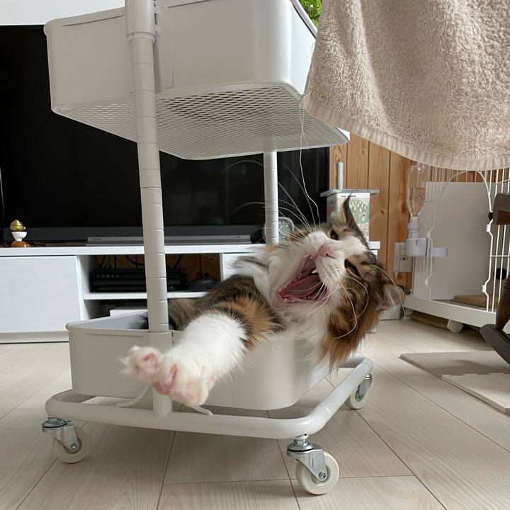 7c779188 f26f 4999 8b06 c89540662ffd 1648268891173