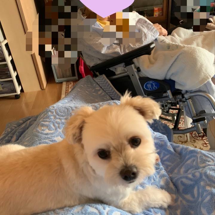 7c77aee3 6df5 4db9 826a df1dccd6d9c6 1596509364486