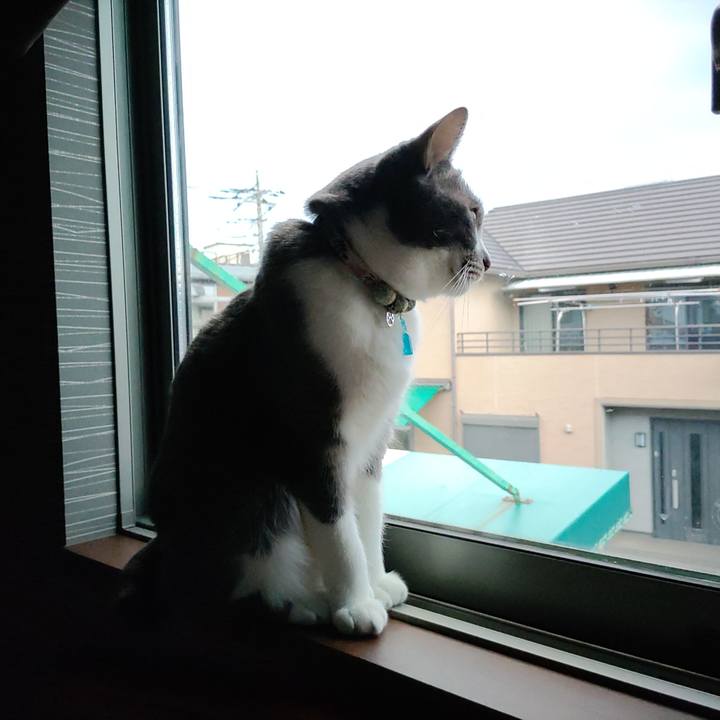 7c77f898 dd35 4ae3 9294 ce5ab27158f2 1704327705486