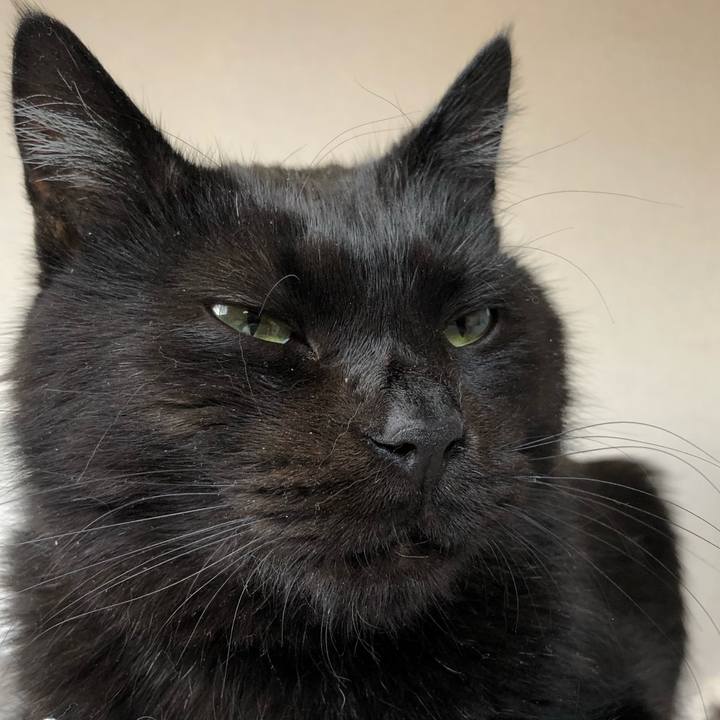 7c7807be aa3b 4dd9 b2c3 15fe4d5ab771 1586577010527