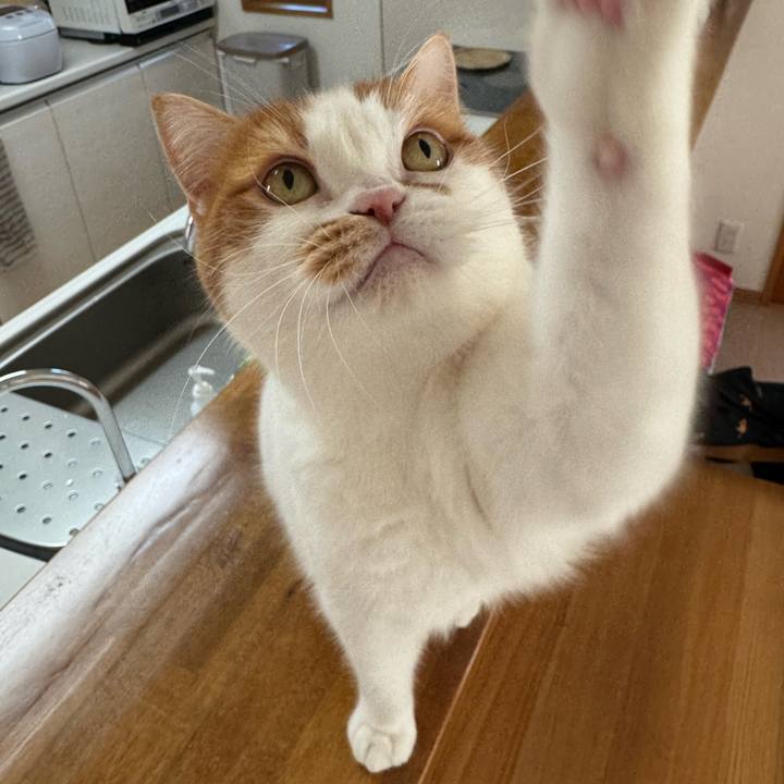 7c781842 8026 4abc 842a 8317596f9a32 1768530112494