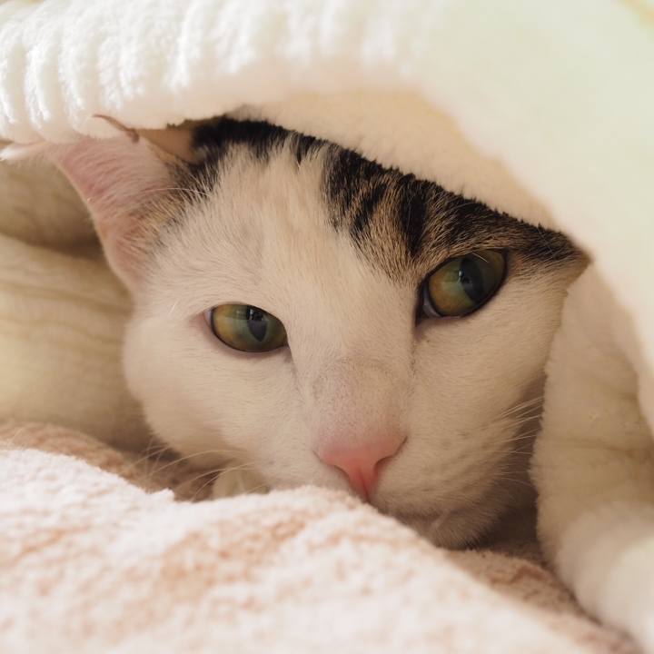 7c7818fb 4152 47a8 a0de 2b9b61eb2261 1520162917316