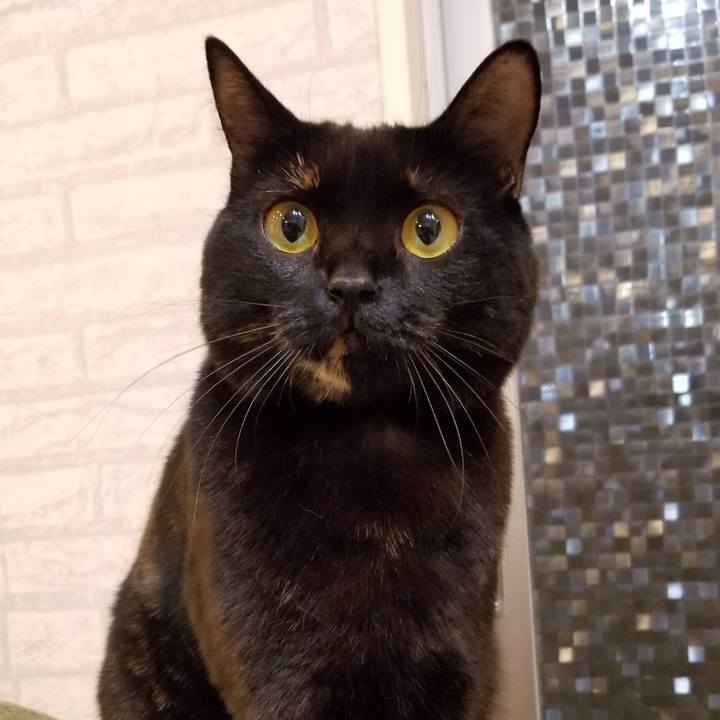 7c7849ba 9eda 4570 9845 7e05179c5f2e 1561889935433