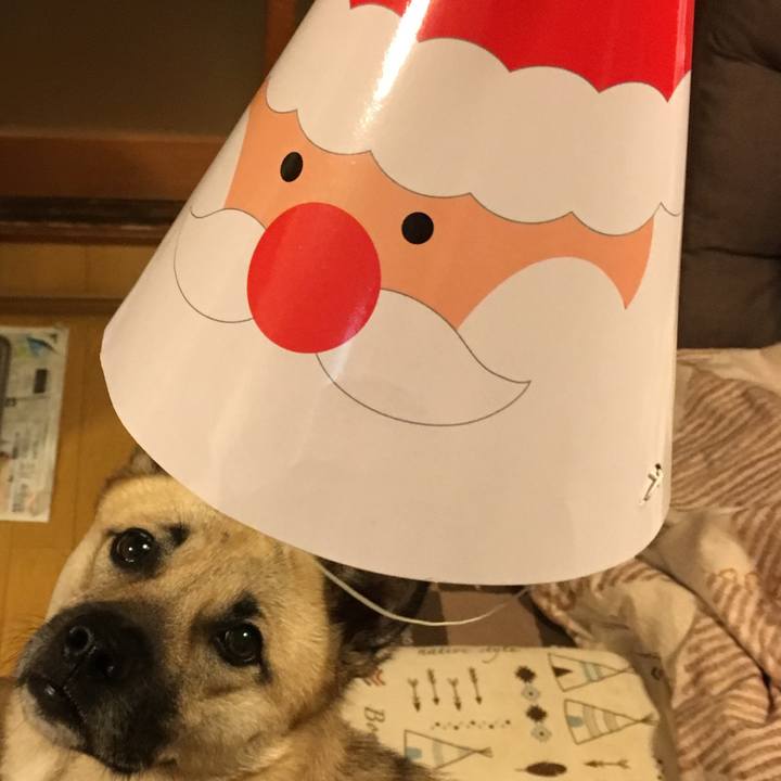 7c786692 f73c 468e aa99 6058bf05066e 1514112766242