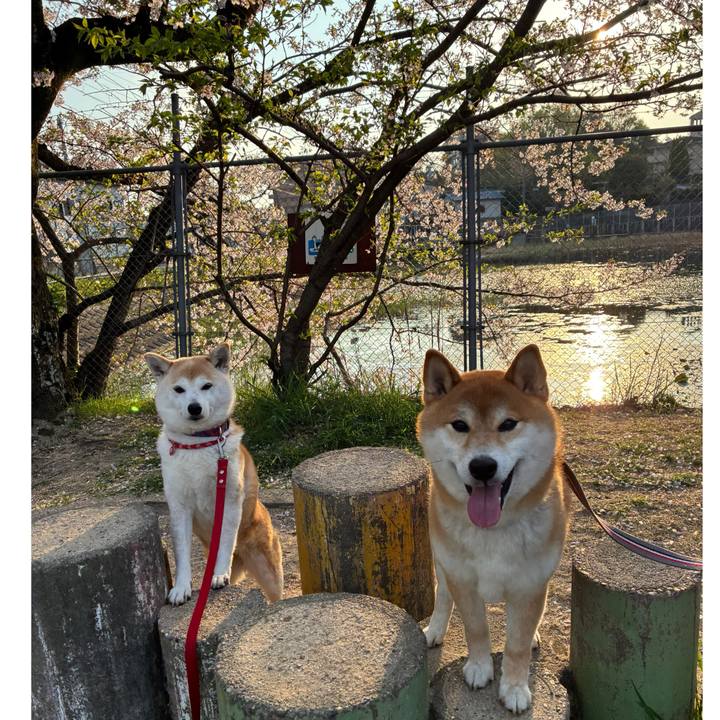 7c787760 ca84 4883 8107 ec07ffc6b6dc 1744365581360