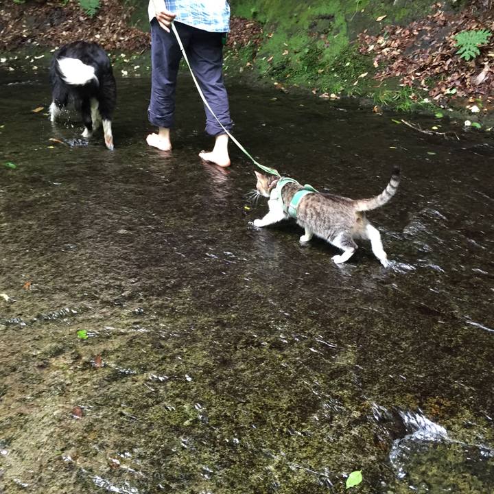 7c788683 99a1 4979 99d2 582c8bc14769 1530532193524