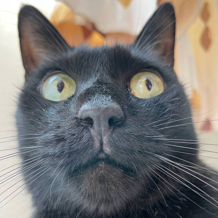 7c789b4a 0ab0 4c31 9fee 19d95aecc017 1693622198782