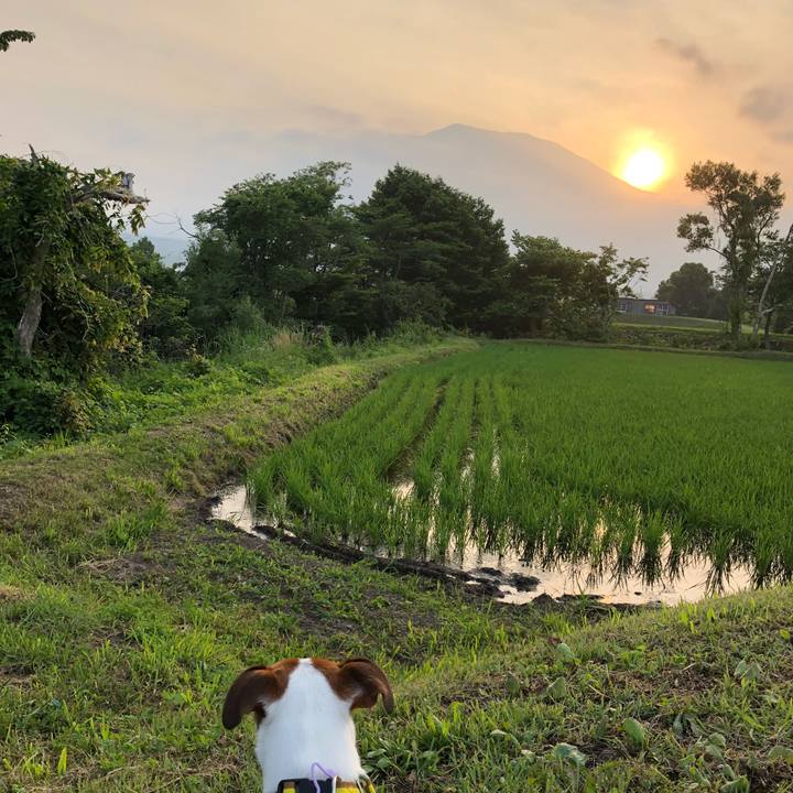 7c78dae6 a4be 4d26 8439 7008785cedcb 1529924846196