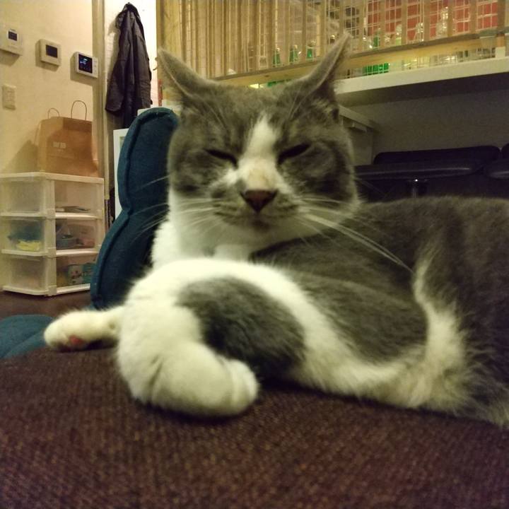 7c78e15c b228 49bd 9ce5 677bcfdfdde0 1625236625054