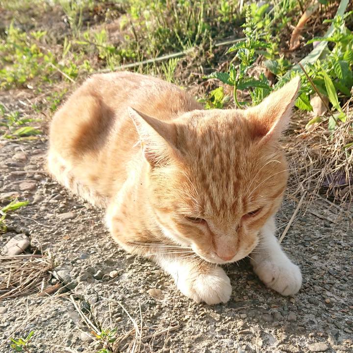 7c793bae 7513 416d b098 0cbe448a03bd 1562618743877