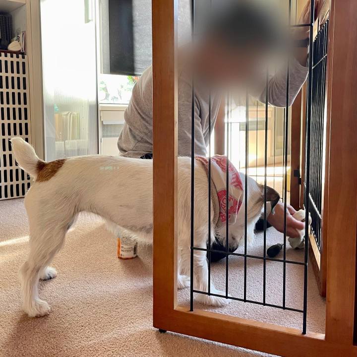 7c794aae 0f52 409d 968a 8555917525f6 1671931609080