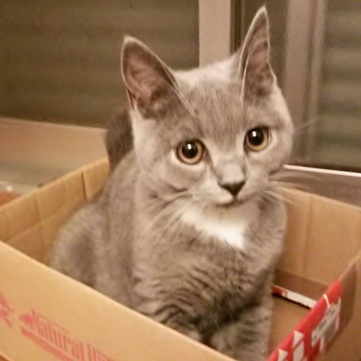 7c796e96 e77f 436f ade0 80f56bb1b902 1535639215714