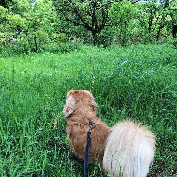 7c79715a d848 4ae9 af8b 6349cb75a959 1525819115260