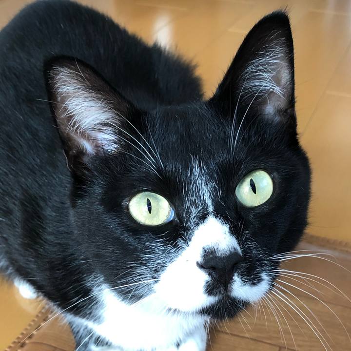 7c798bdd a34c 4a03 a4a9 0c36297e85eb 1569644677941