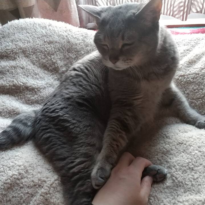 7c798c98 9bfa 4f98 ac6f 9ee7d202e320 1684308434064