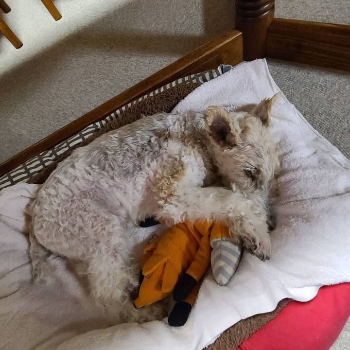 7c799505 807a 4e1b 888f c56d50bff70e 1665241130431