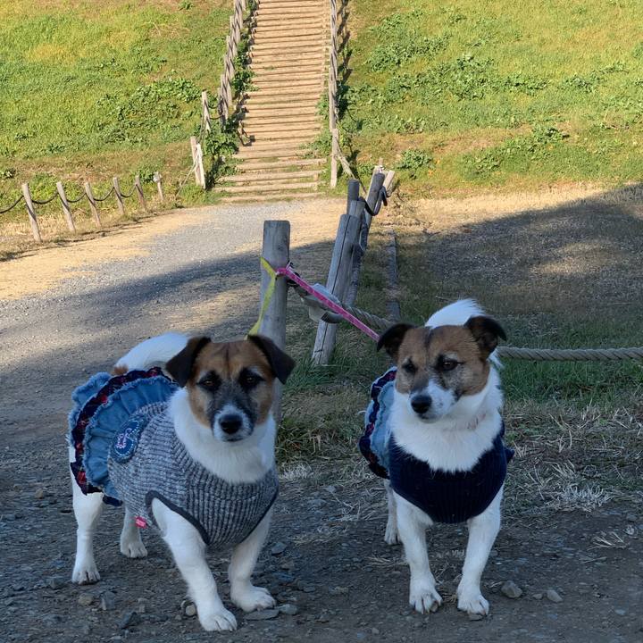 7c79b245 6318 4a85 9c49 2dc4a7da01b3 1581405069343