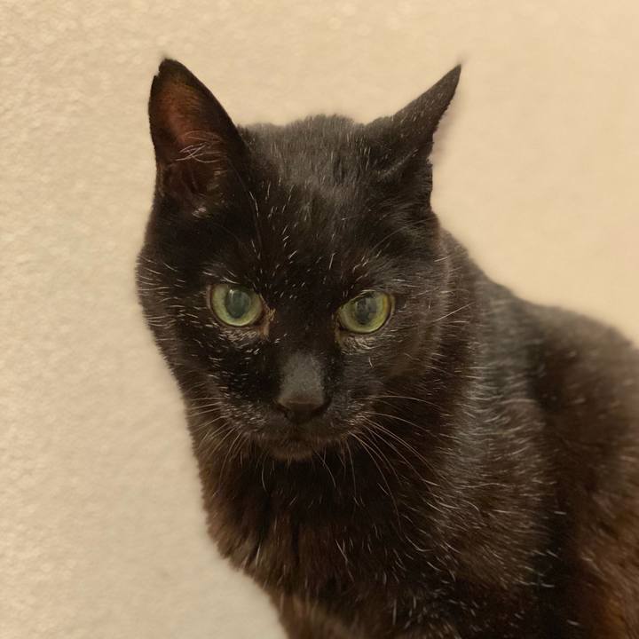 7c79b393 d982 4c69 b98c 39810eb59853 1653042141999