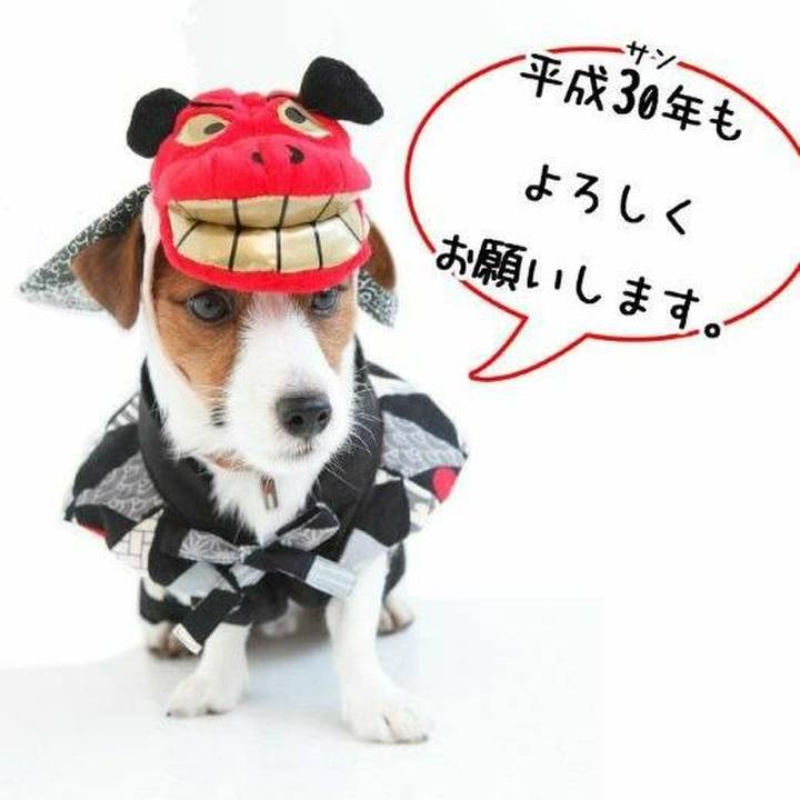 7c79e634 b311 4f38 969a ea6419bda168 1514735329708