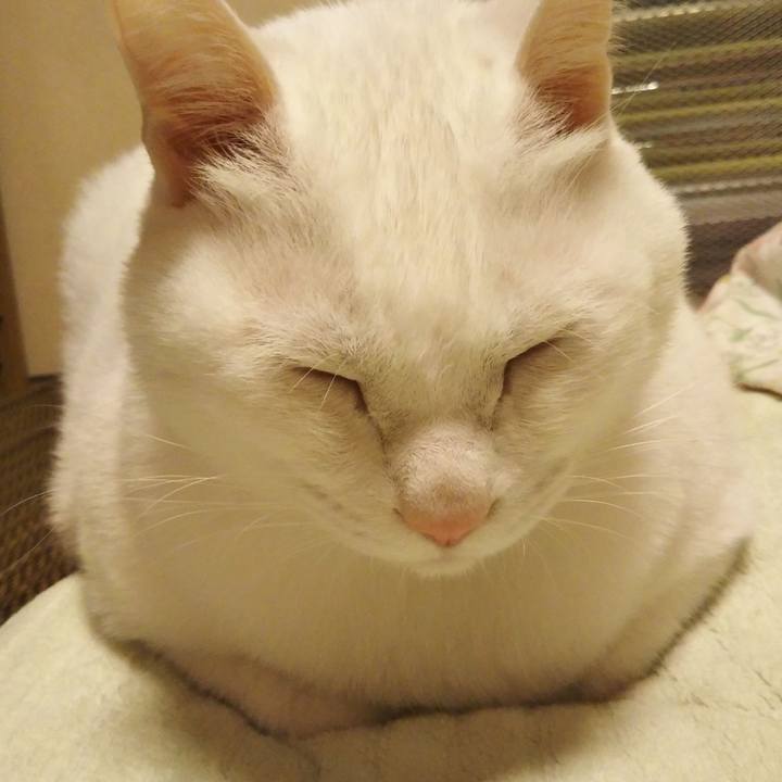 7c79ef98 182e 48c1 956f 1ddd6ceff53f 1575300904851