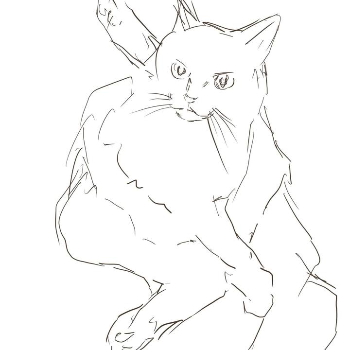 7c7a0eca ea13 4b83 867a 3ef2fc296a98 1649683863219