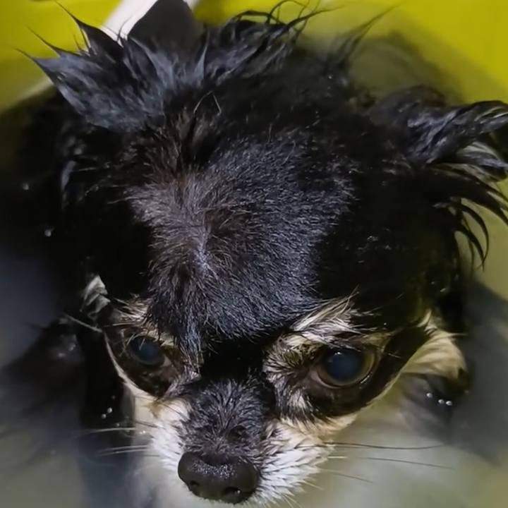 7c7a207f 3b01 4402 a38c 8d39cce73a21 1766723375521