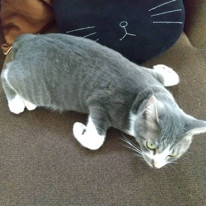 7c7a4b4b 5dfc 4eb4 b921 200b2f4d7a64 1596771099203