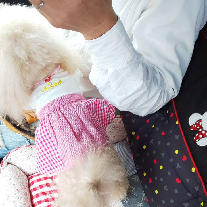 7c7ab6ef db67 4e0a 83ab 2e5d21949f72 1589719024934