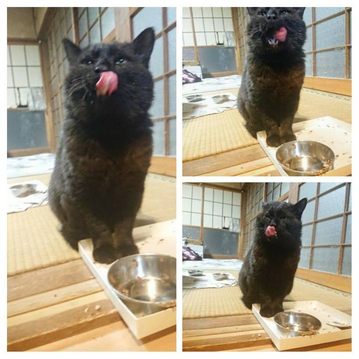 7c7ae76a 74dc 44fa aaa0 125990ab0263 1618828307703