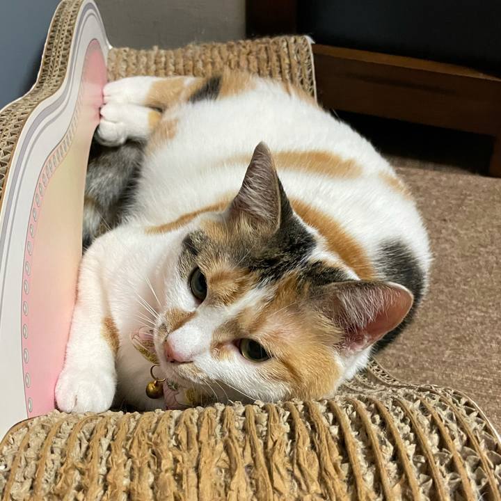 7c7afe9a 7b4f 487d be9b 9e8f96a0297e 1626305659940