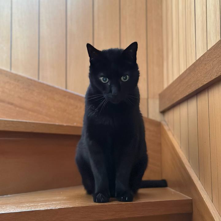 7c7b0227 28f6 4716 96d9 6802c314ef18 1682301655603