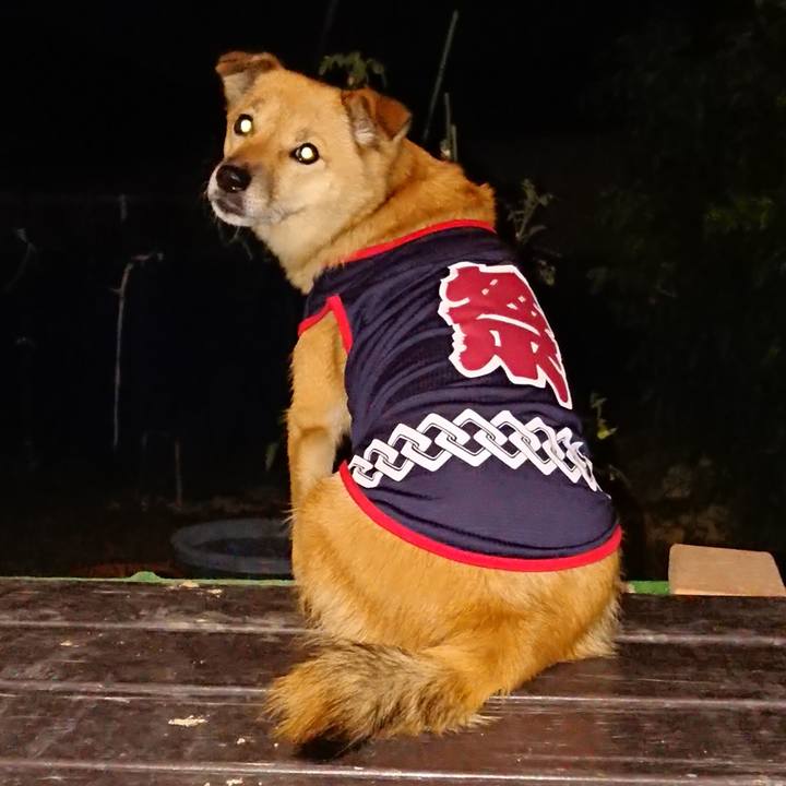 7c7b25df 86dc 425a af21 ff96f5e0b2b8 1630239573336