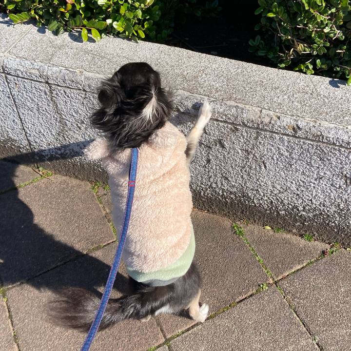 7c7b3f11 9811 4dff 87cc 58408be151e4 1707720938233