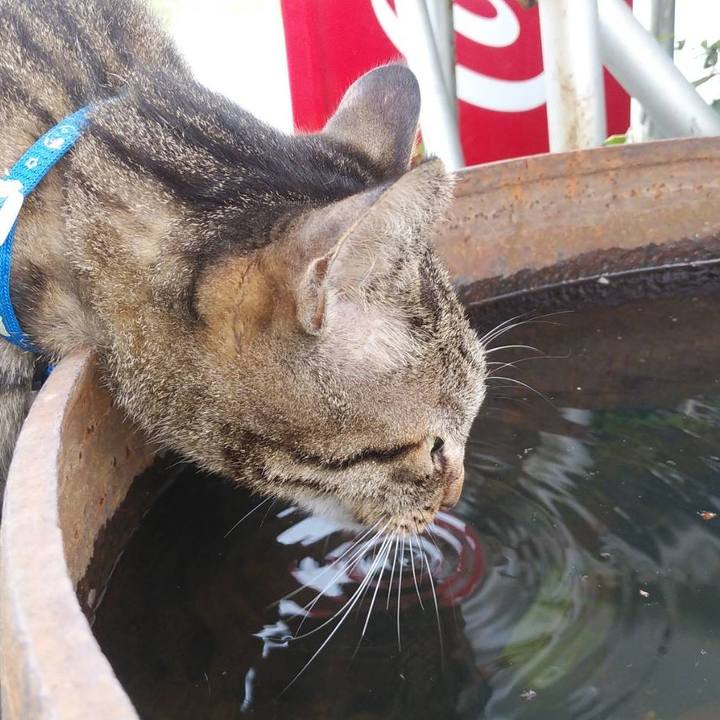 7c7b50f4 b5e9 4aae a690 9cdfeabd9a3d 1569285163421