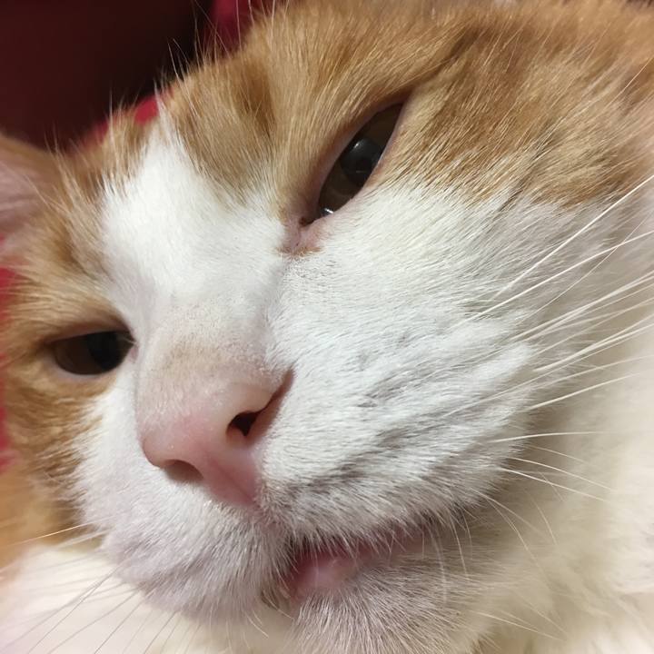 7c7b73dc c36d 4807 b516 a420f35bb720 1521226719595