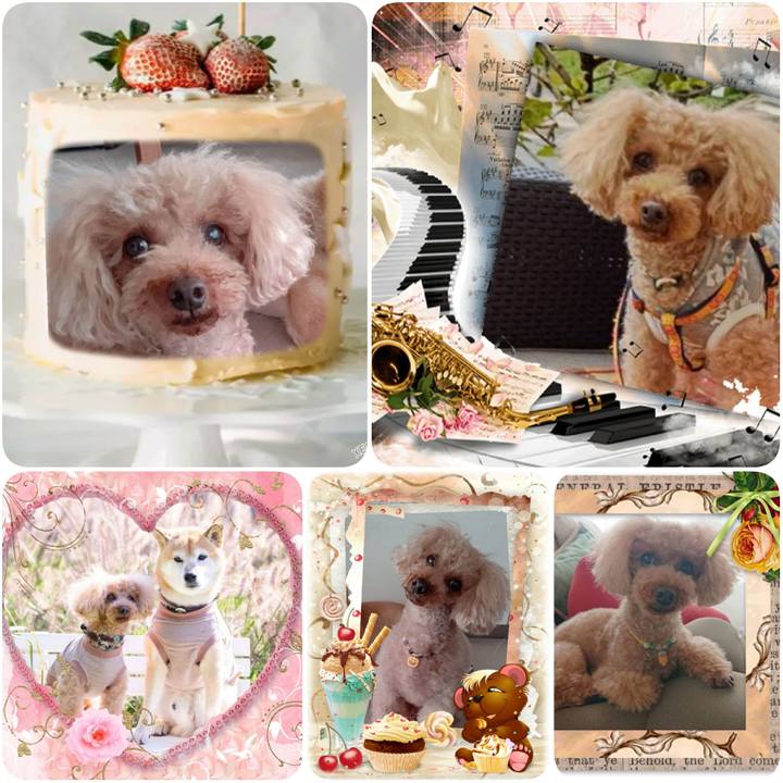 7c7ba12b a2ce 4ba8 874d 0447159acabf 1612869855144