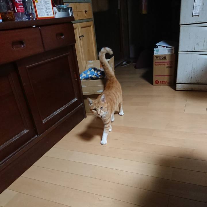 7c7ba14a 8aa4 4956 a8ea 06bc15de6dcf 1597400430303