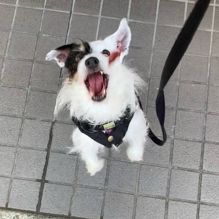 7c7bc608 68dd 4a1d 94c1 ae30b114ff2c 1707352699075