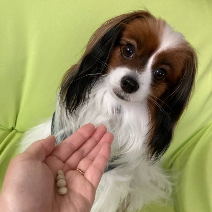 7c7bc873 28a8 4b40 a98b a1a898e567f1 1669634960784