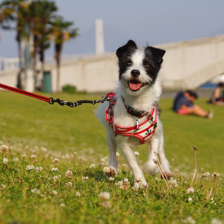 7c7be749 226b 4aec 9f4d bc37397c9404 1524489828520