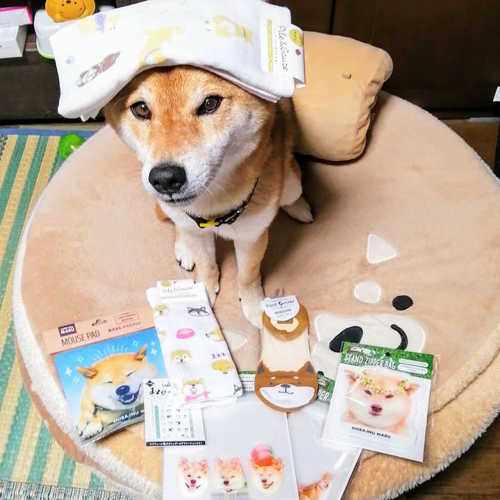 7c7c0042 df5a 4791 85a6 55f7a35984e7 1592126262336